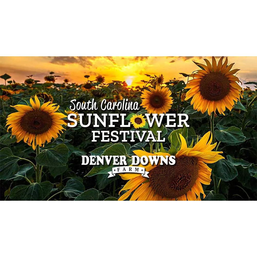 South Carolina Sunflower Festival