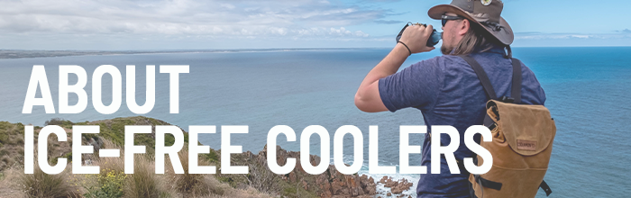 about ice free cooler